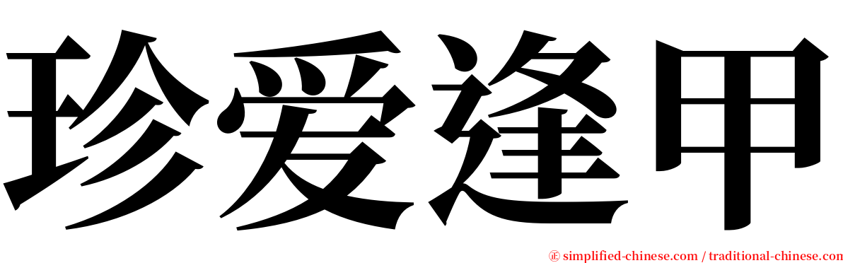 珍爱逢甲 serif font