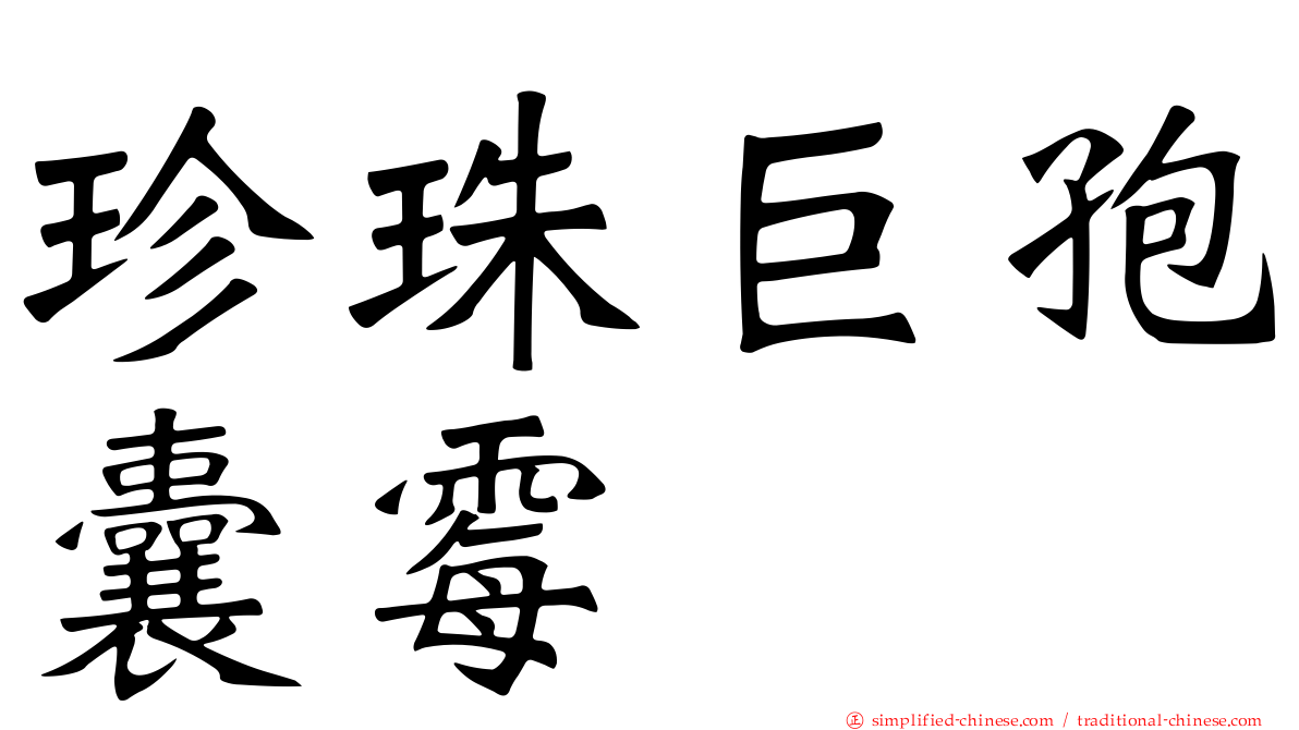 珍珠巨孢囊霉