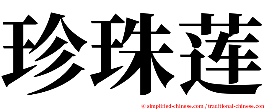 珍珠莲 serif font