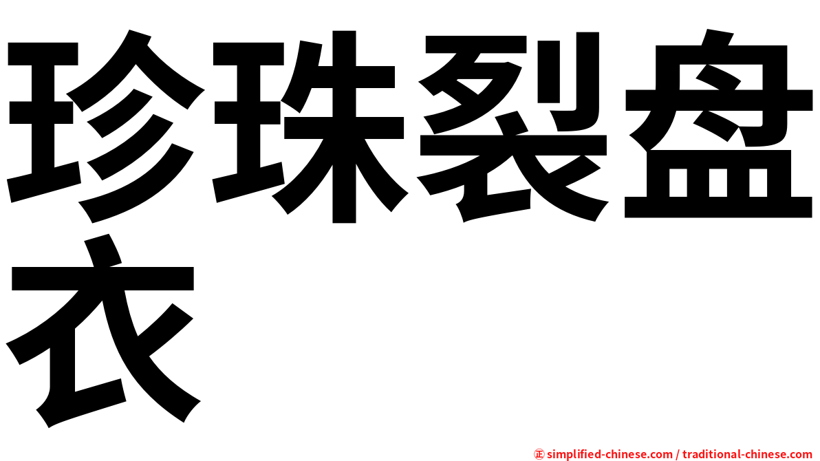 珍珠裂盘衣