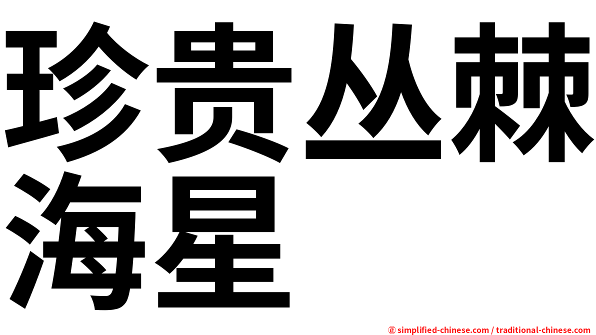 珍贵丛棘海星