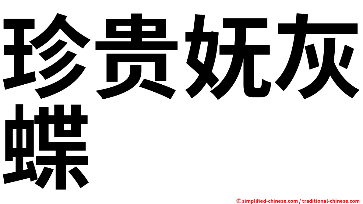 珍贵妩灰蝶