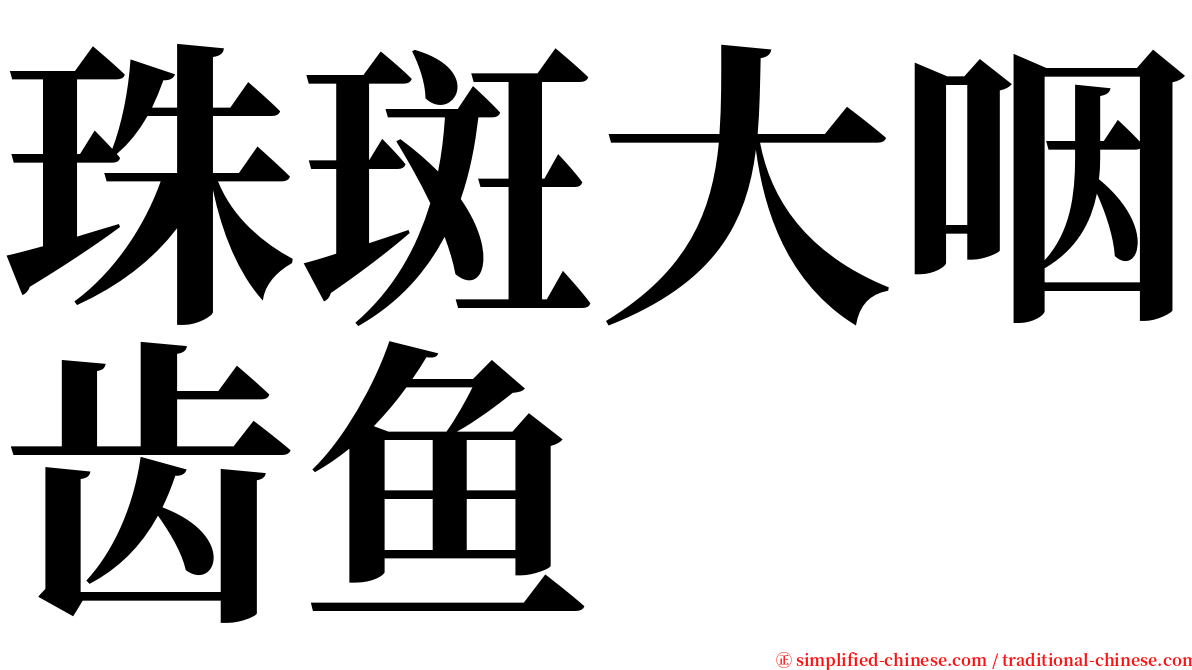 珠斑大咽齿鱼 serif font