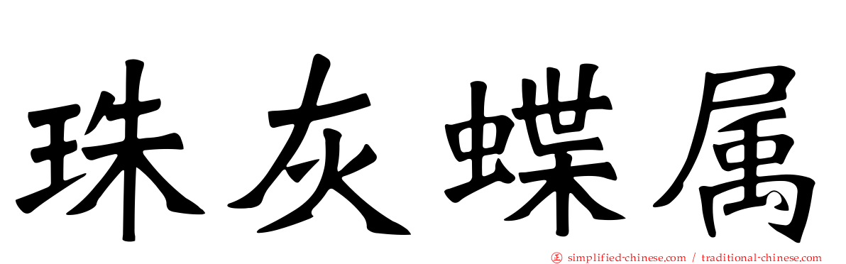 珠灰蝶属
