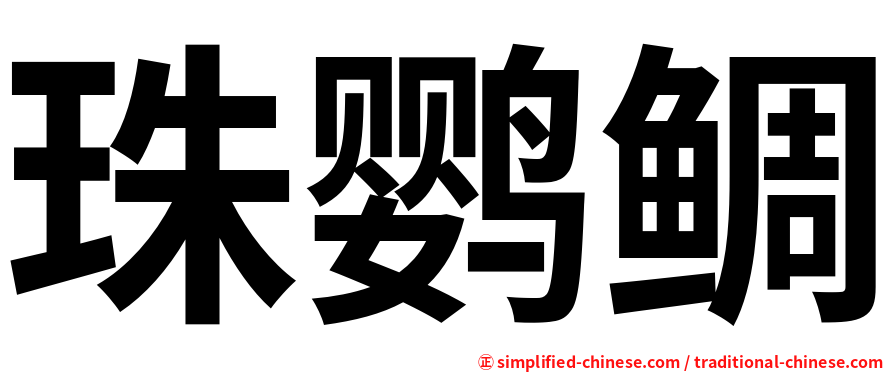 珠鹦鲷
