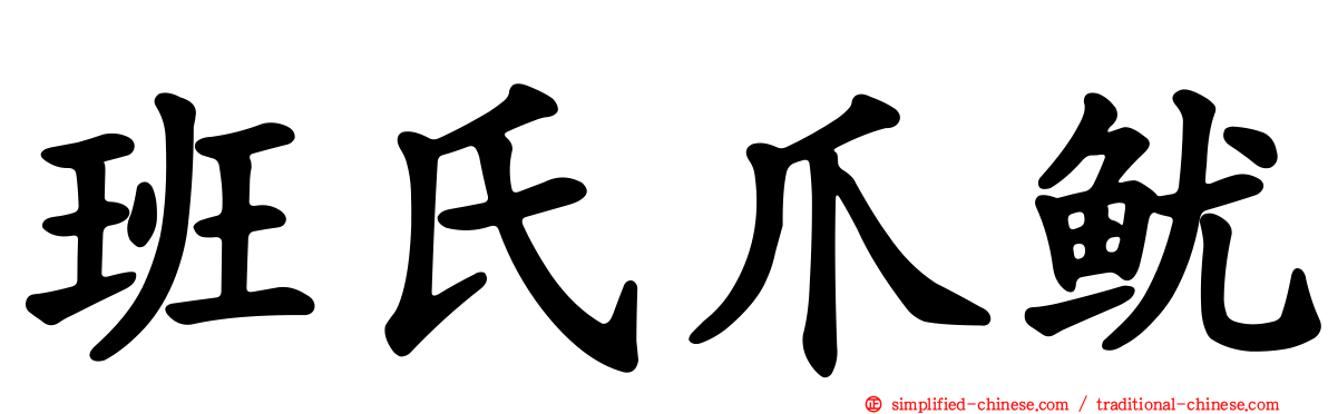 班氏爪鱿
