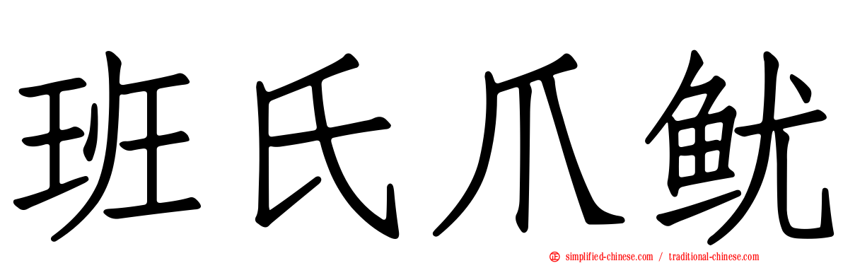 班氏爪鱿