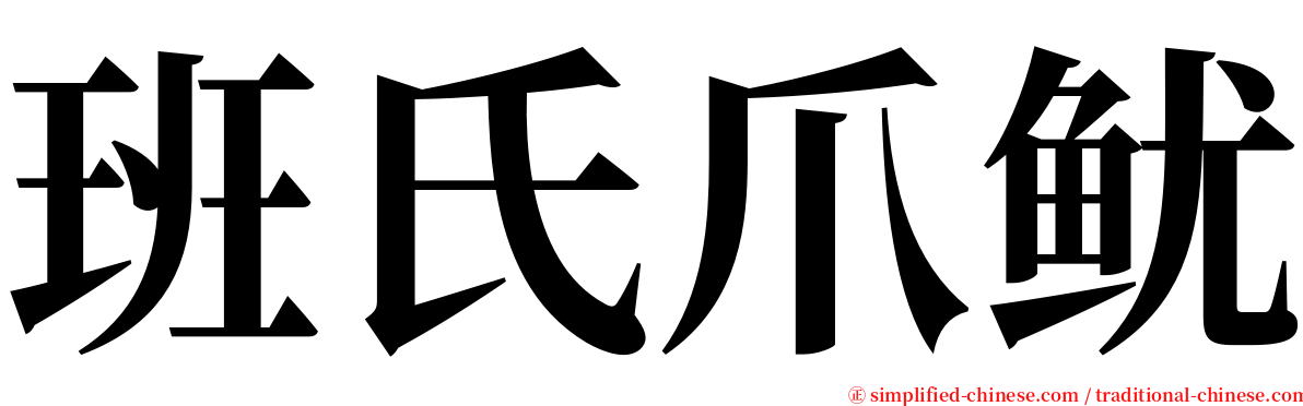 班氏爪鱿 serif font