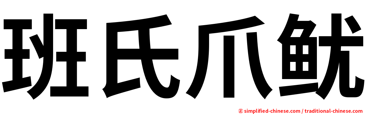 班氏爪鱿