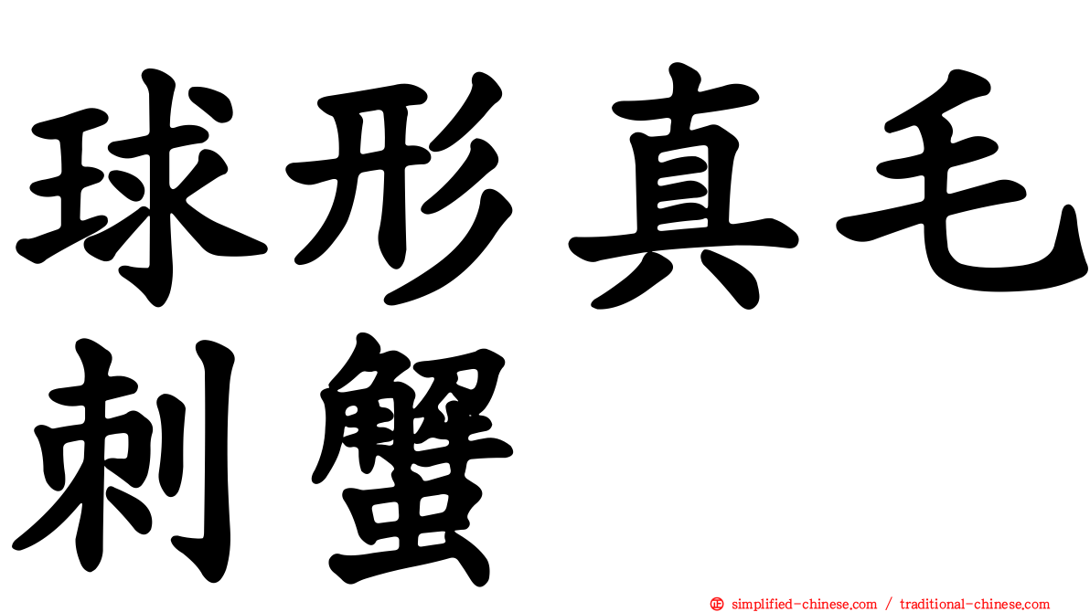 球形真毛刺蟹