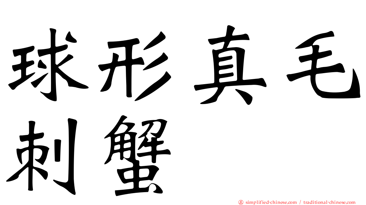 球形真毛刺蟹