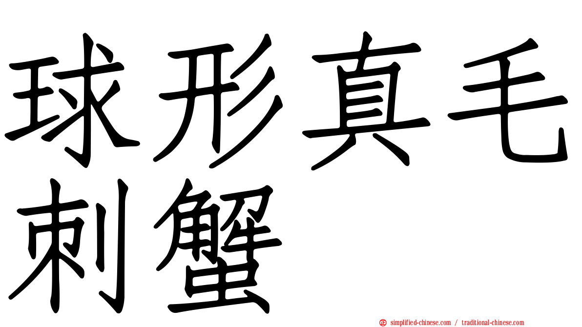 球形真毛刺蟹
