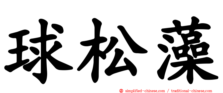 球松藻