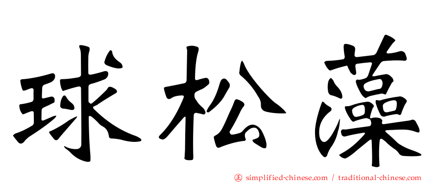 球松藻