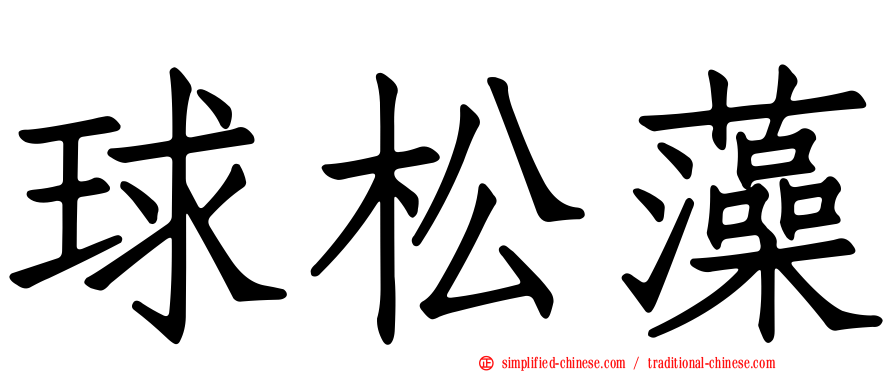 球松藻