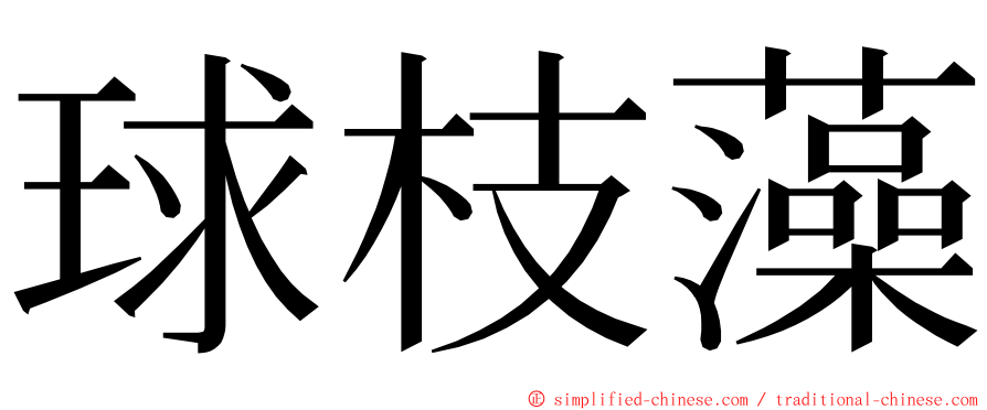 球枝藻 ming font