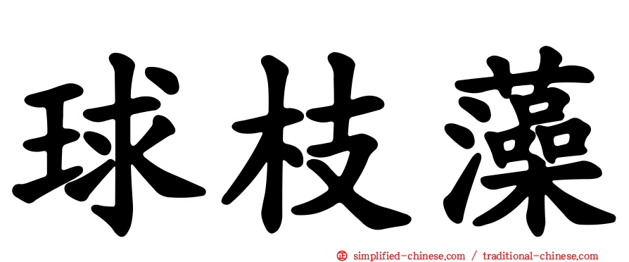 球枝藻