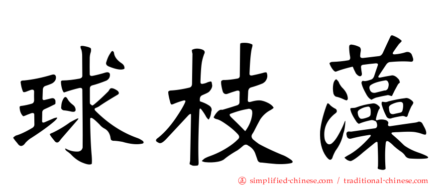 球枝藻