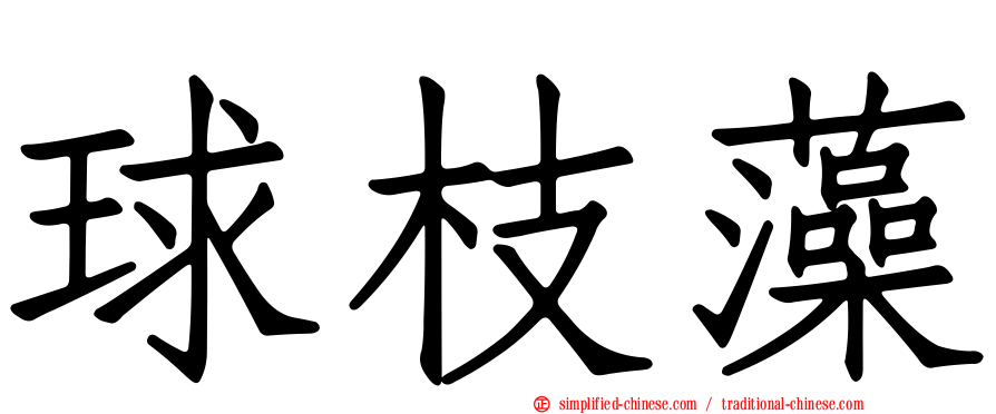 球枝藻