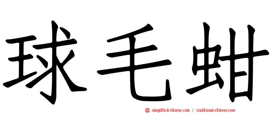 球毛蚶
