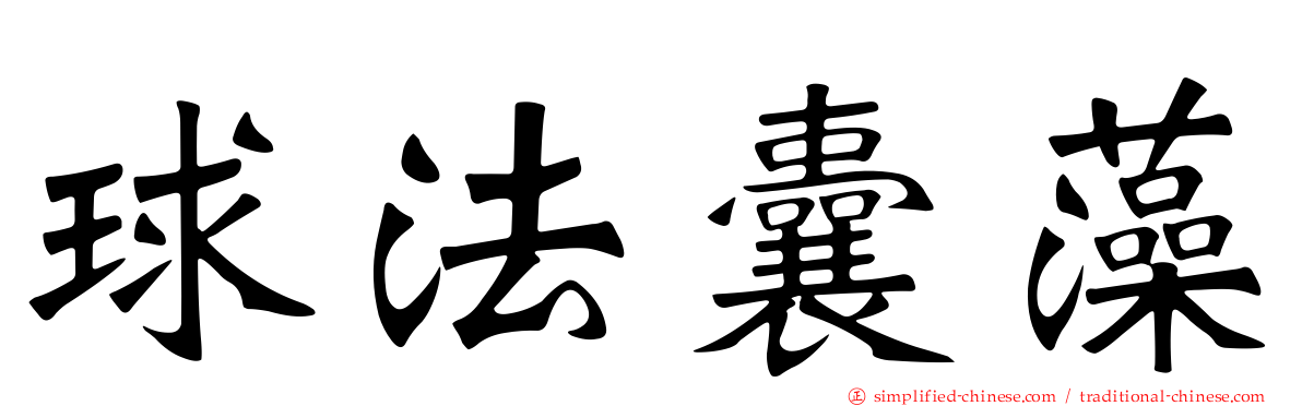 球法囊藻