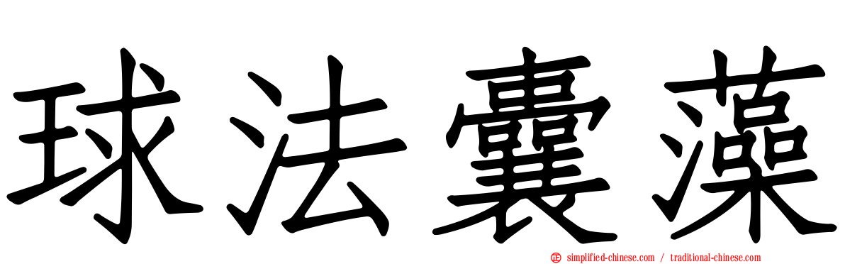 球法囊藻