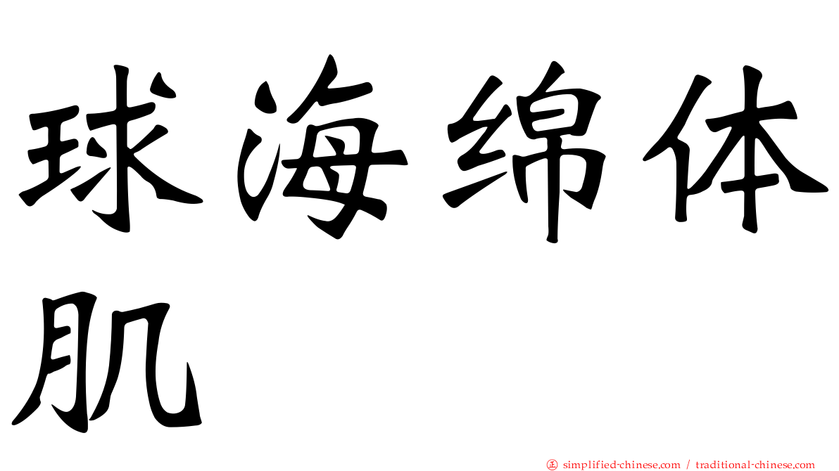球海绵体肌