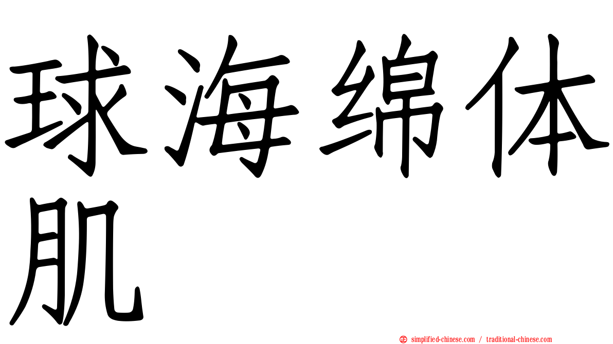 球海绵体肌