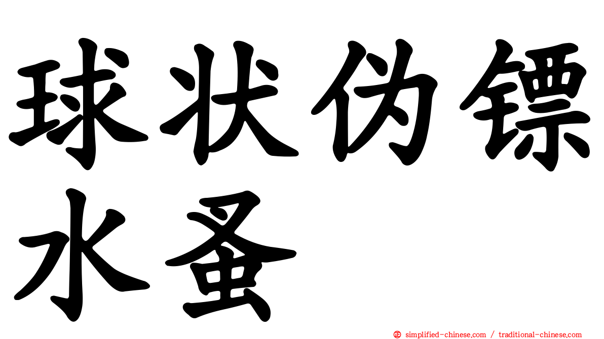 球状伪镖水蚤