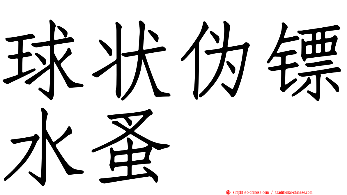 球状伪镖水蚤