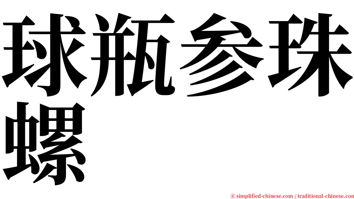 球瓶参珠螺 serif font