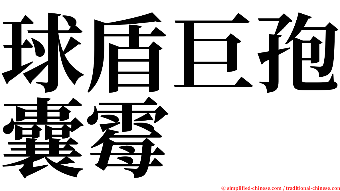 球盾巨孢囊霉 serif font