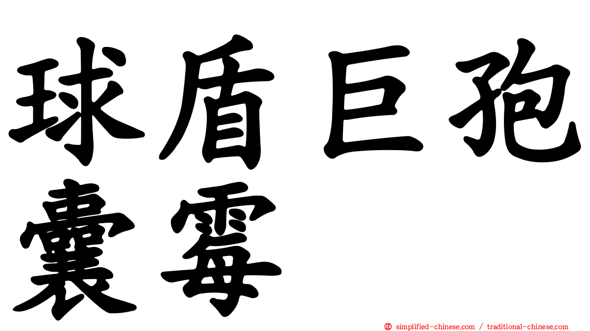 球盾巨孢囊霉
