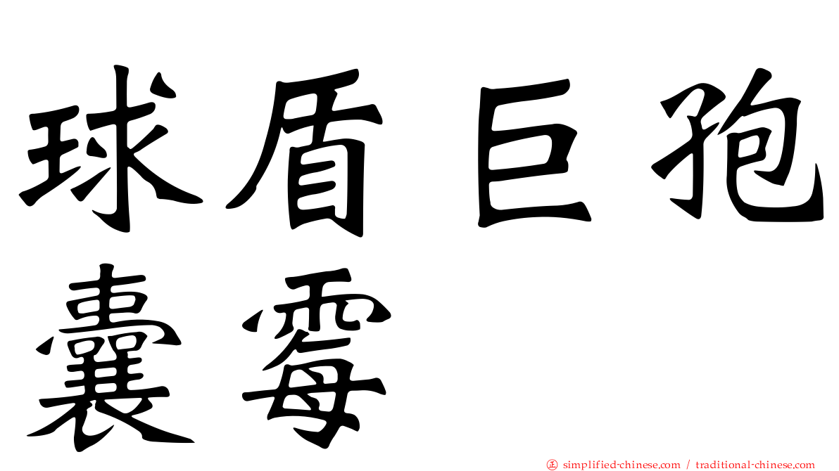球盾巨孢囊霉