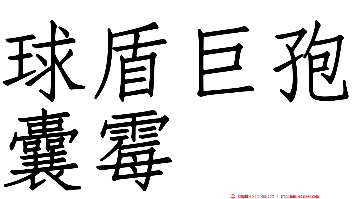 球盾巨孢囊霉