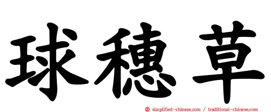 球穗草