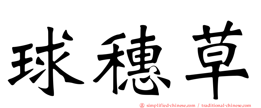 球穗草