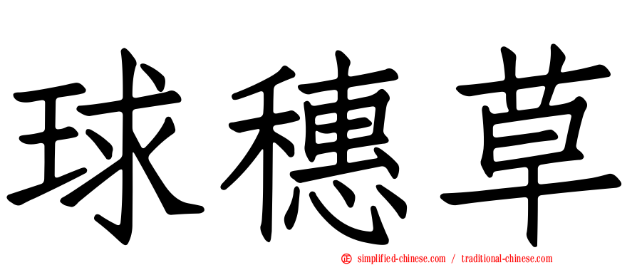 球穗草