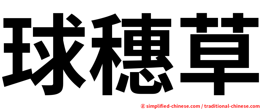 球穗草