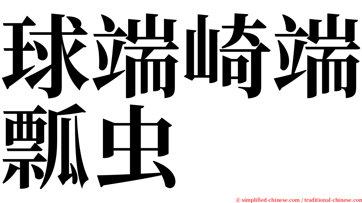 球端崎端瓢虫 serif font