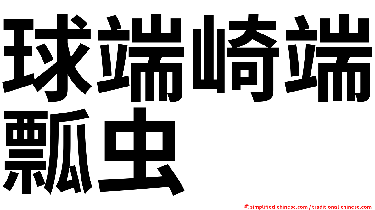 球端崎端瓢虫