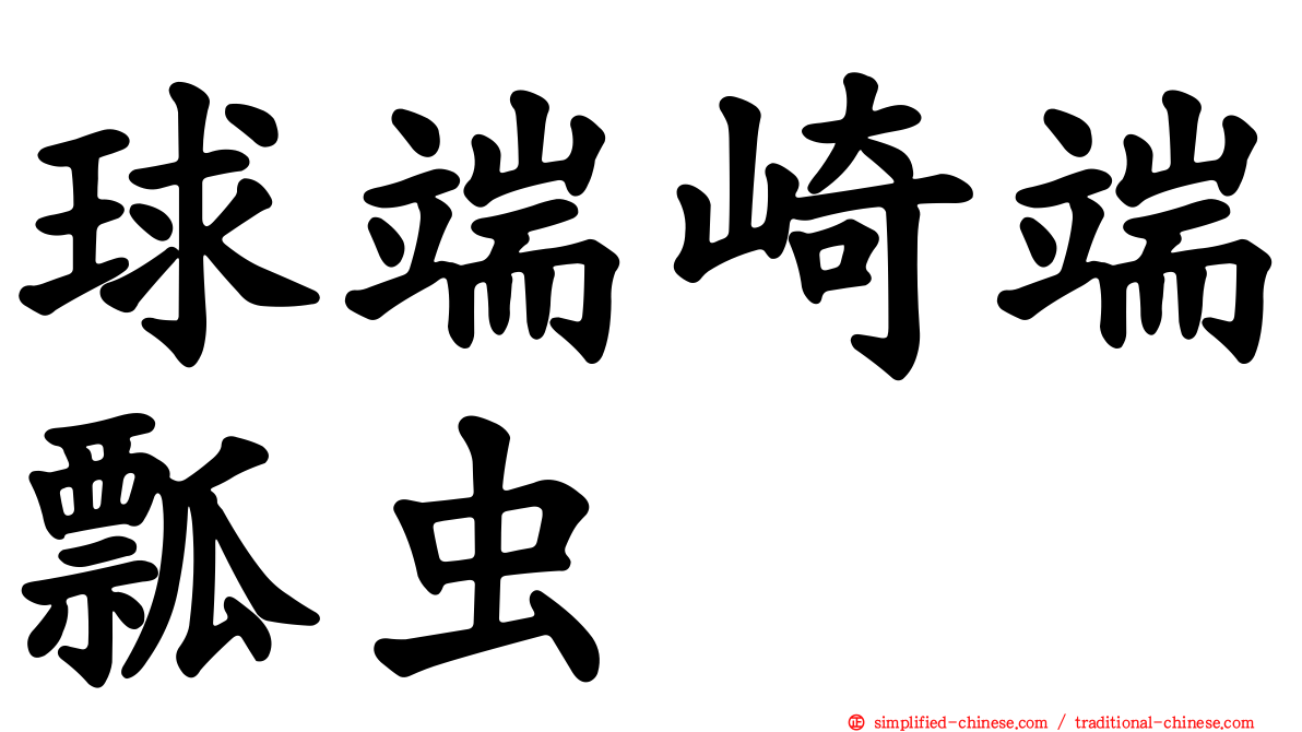 球端崎端瓢虫