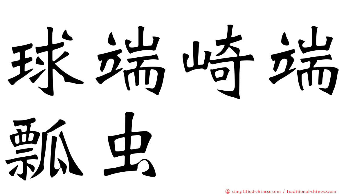 球端崎端瓢虫