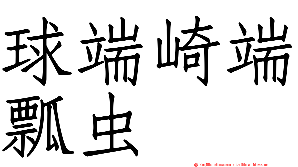 球端崎端瓢虫