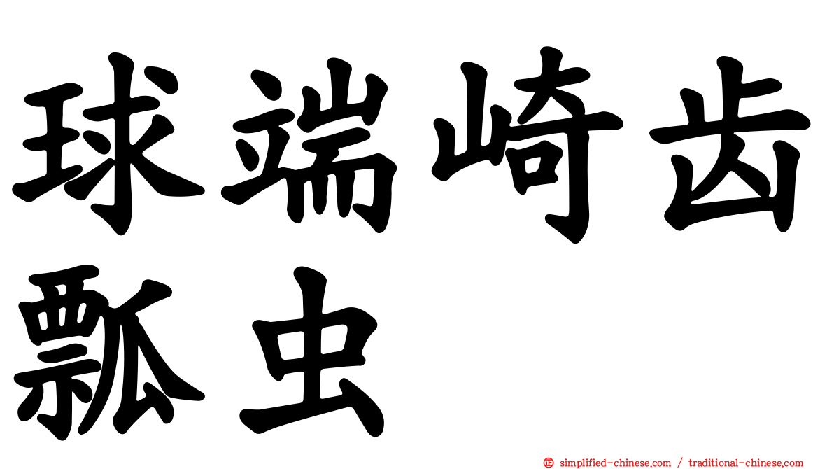 球端崎齿瓢虫
