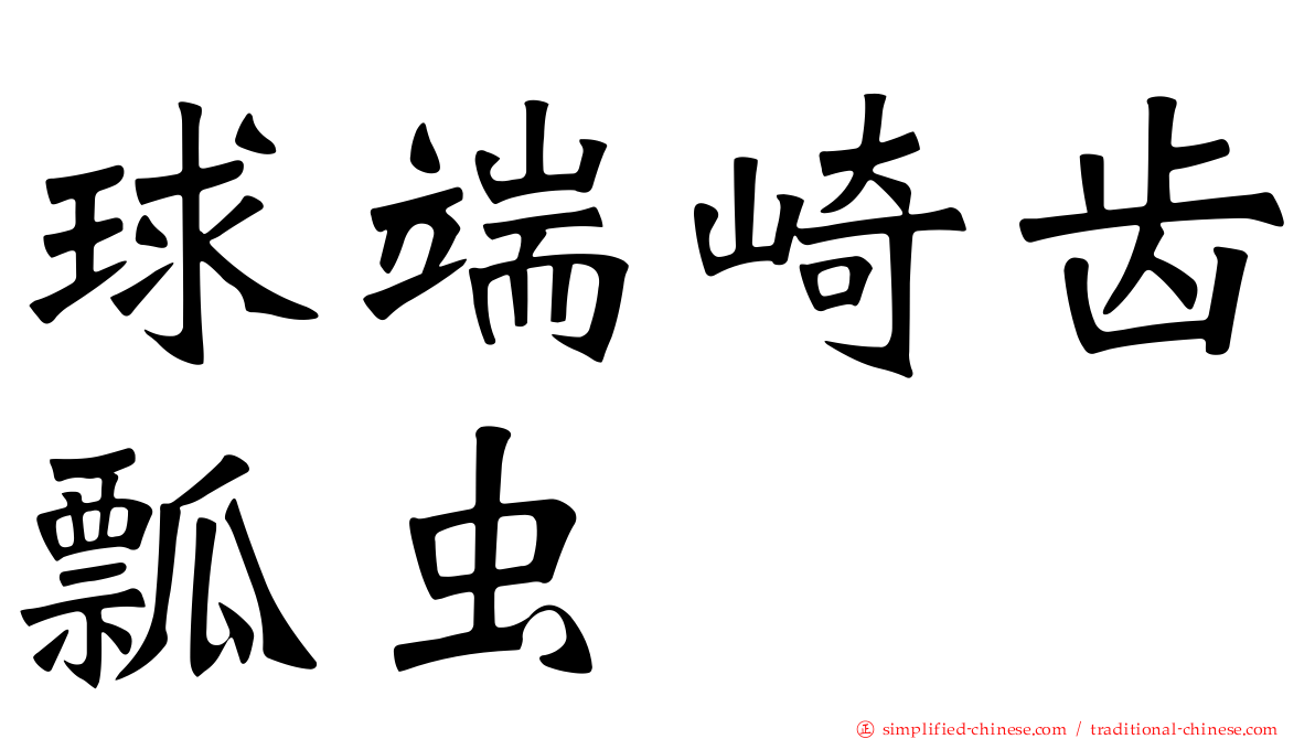 球端崎齿瓢虫