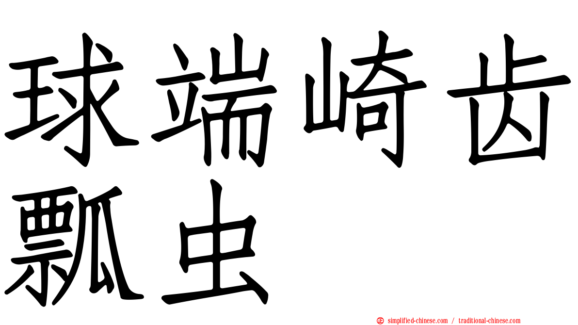 球端崎齿瓢虫