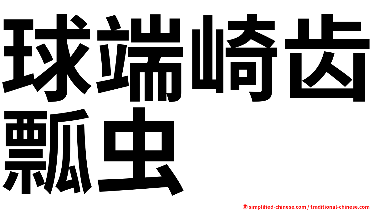 球端崎齿瓢虫