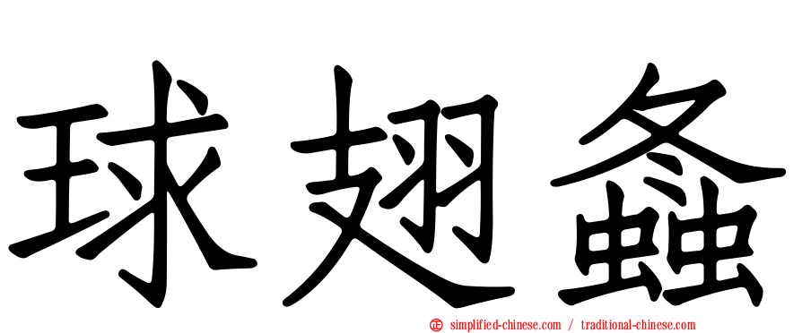 球翅螽