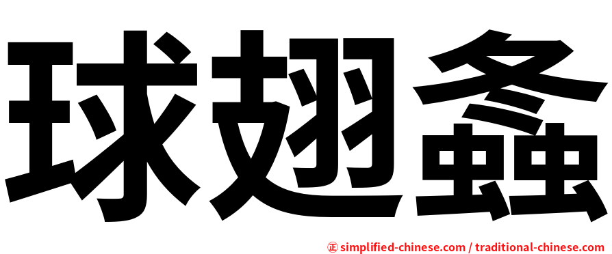 球翅螽